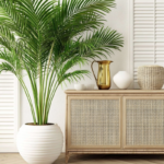 an indoor scene with a fresh, tropical vibe. The focal point is an areca palm in a large white pot, boasting long, arching green fronds. The plant is next to a wooden cabinet with a woven rattan front. On top of the cabinet, there are decorative items including a gold-colored pitcher, and a white bowl.