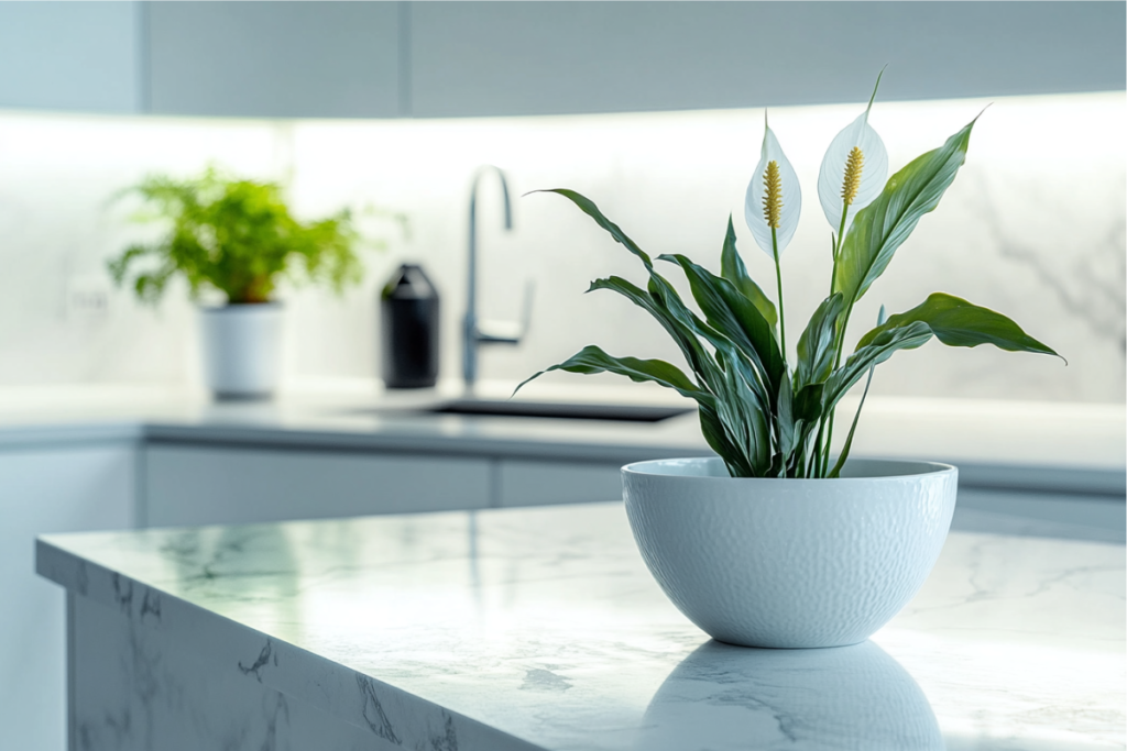 A peace lily with its signature dark green leaves and delicate white flowers, elegantly displayed in a white bowl on a marble kitchen island. Peace lilies are among the best plants for kitchen air purification and elegance.