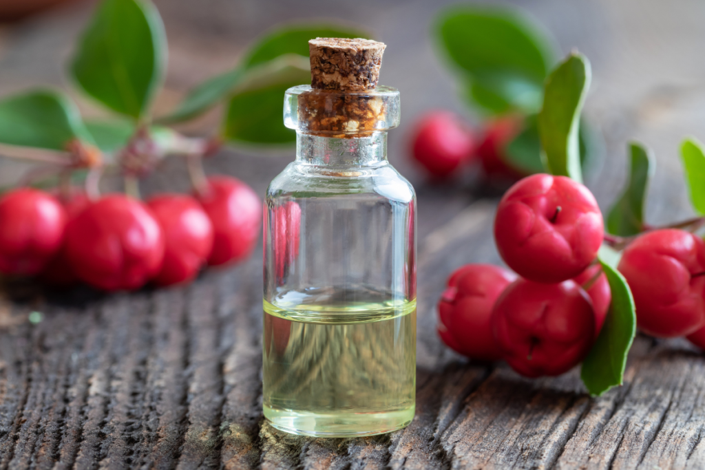 A bottle of essential oil placed alongside fresh wintergreen berries and leaves, highlighting the plant's aromatic properties.