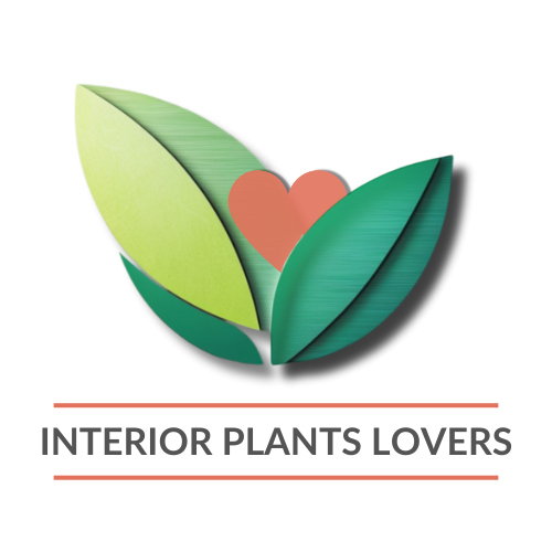 Interior Plants Lovers